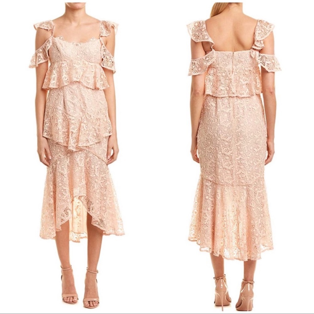 Amur Hayden Lace Midi Dress Blush Pink Size 2 NWT - Picture 10 of 11